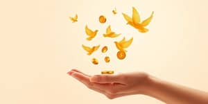 Declutter Your Dollars: A Minimalist Approach to Wealth